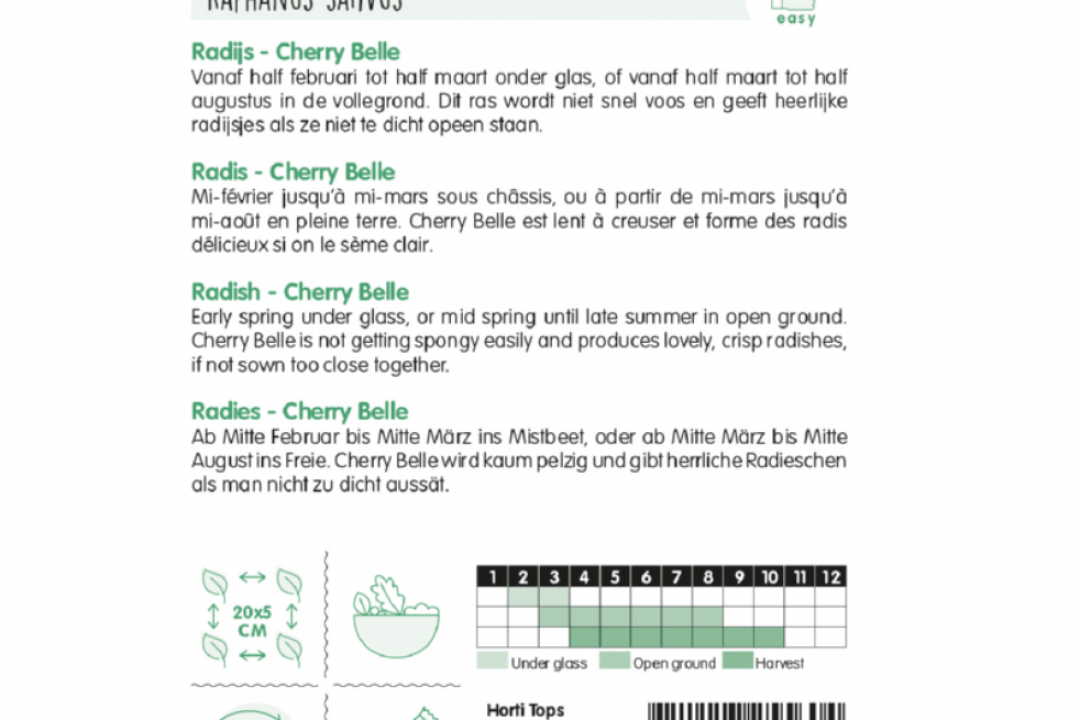 Radis Cherry Belle Radis Cherry Belle