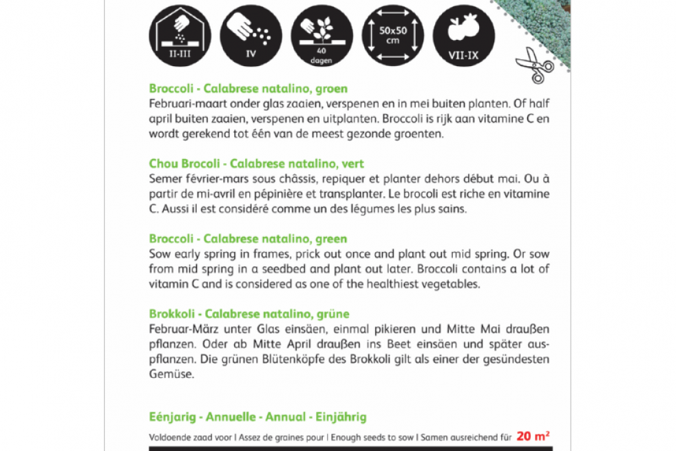 Chou Brocoli  Calabrese natalino bio
