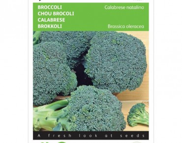 Chou Brocoli  Calabrese natalino bio
