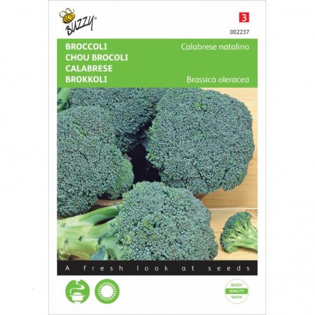 Chou Brocoli  Calabrese natalino bio