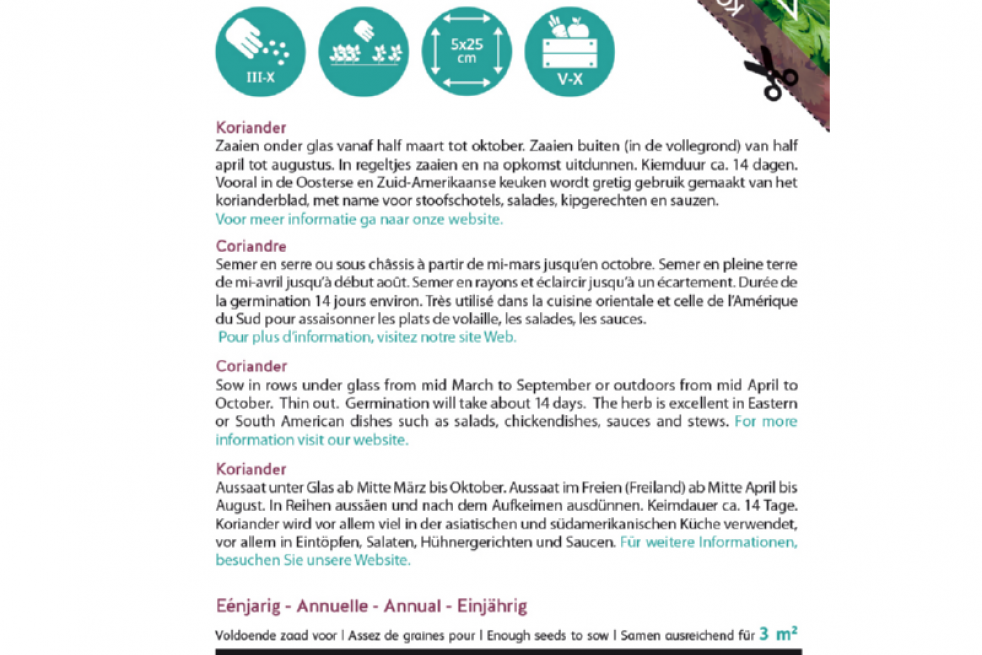 Coriandre à gros grain Coriandre à gros grain