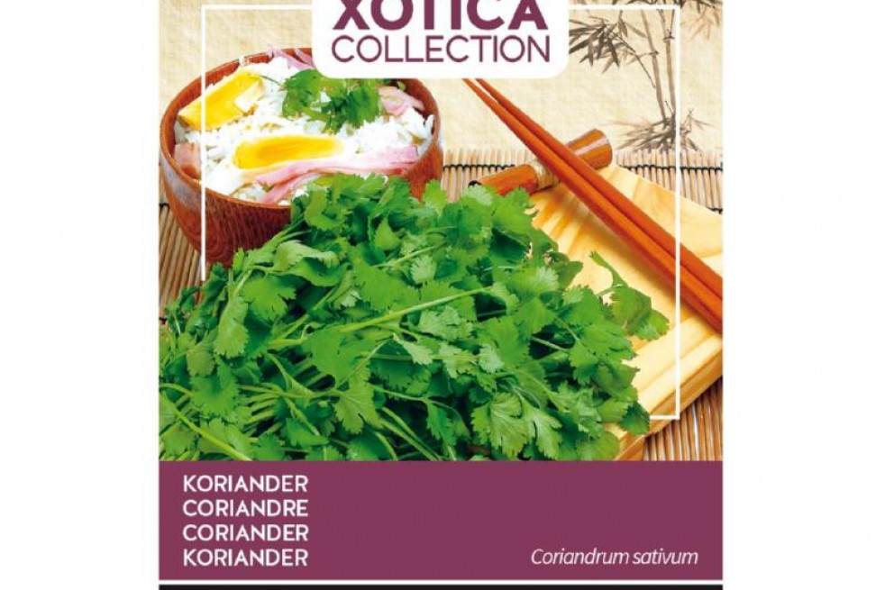 Koriander Koriander