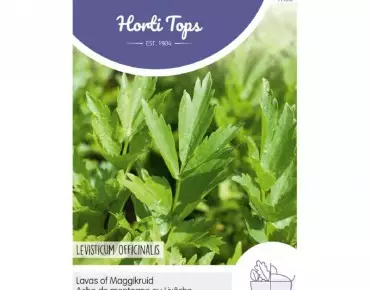 Céleri perpétuel - Ache de...