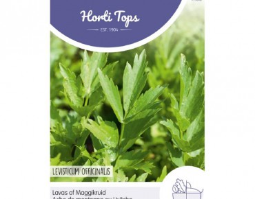 Lavas - maggiplant -...