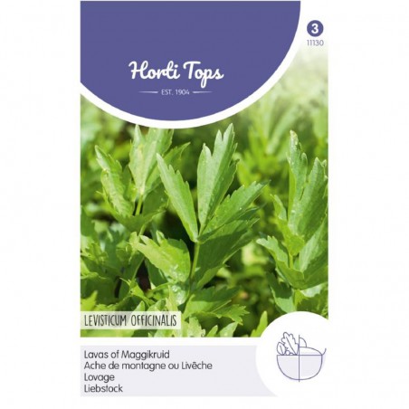 zaden Lavas - maggiplant - Levisticum officinale