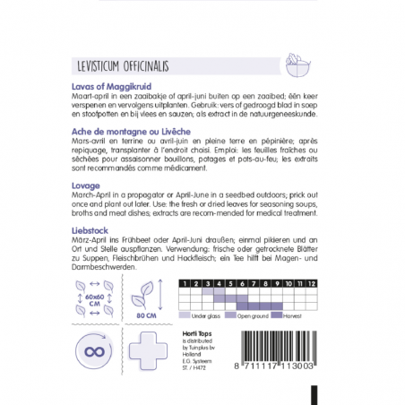 Seeds Lovage - Levisticum officinale