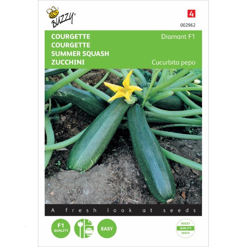 Courgette verte Diamant