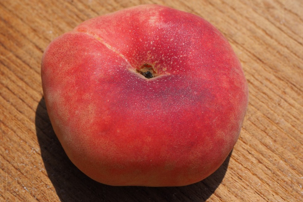 Saturn peach