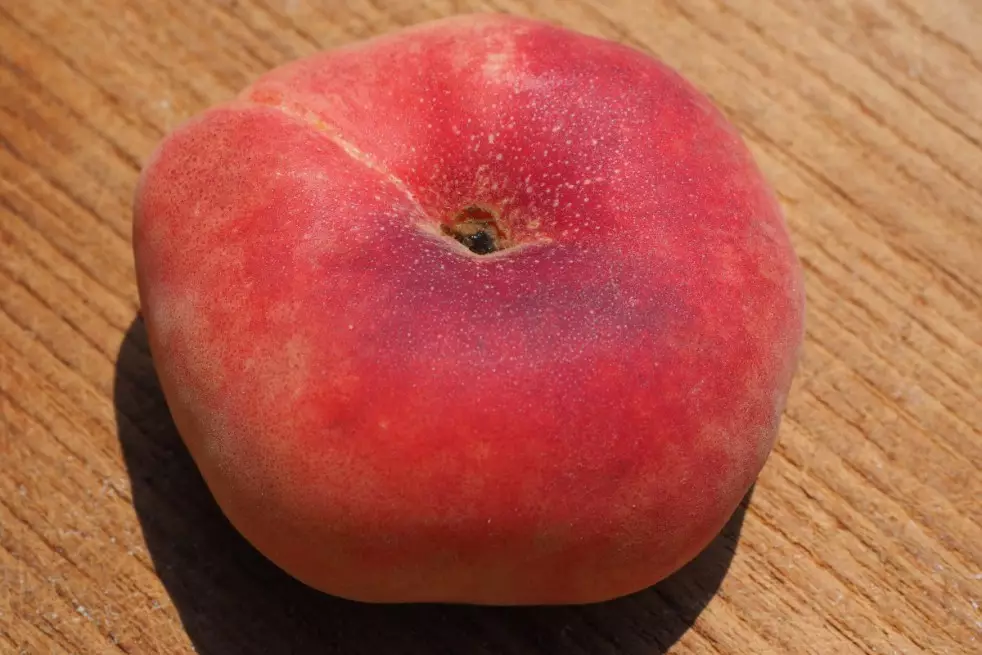 Saturn peach