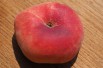 Saturn peach