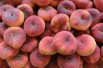 Saturn peach