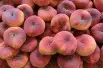 Saturn peach