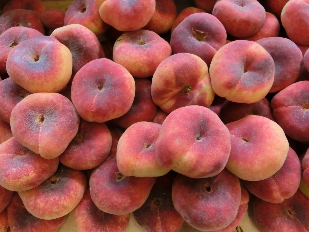 Pfirsich Saturne - Prunus Persica Platycarpa Saturn