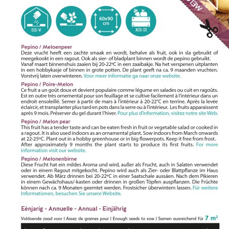 Semences Pépino - Poire melon - Solanum muricatum
