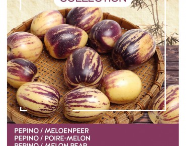 Pepino of Meloenpeer