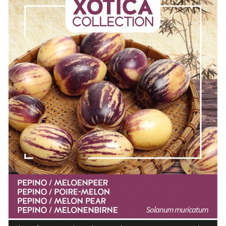 Zaden Pepino - Meloenpeer  - Solanum muricatum