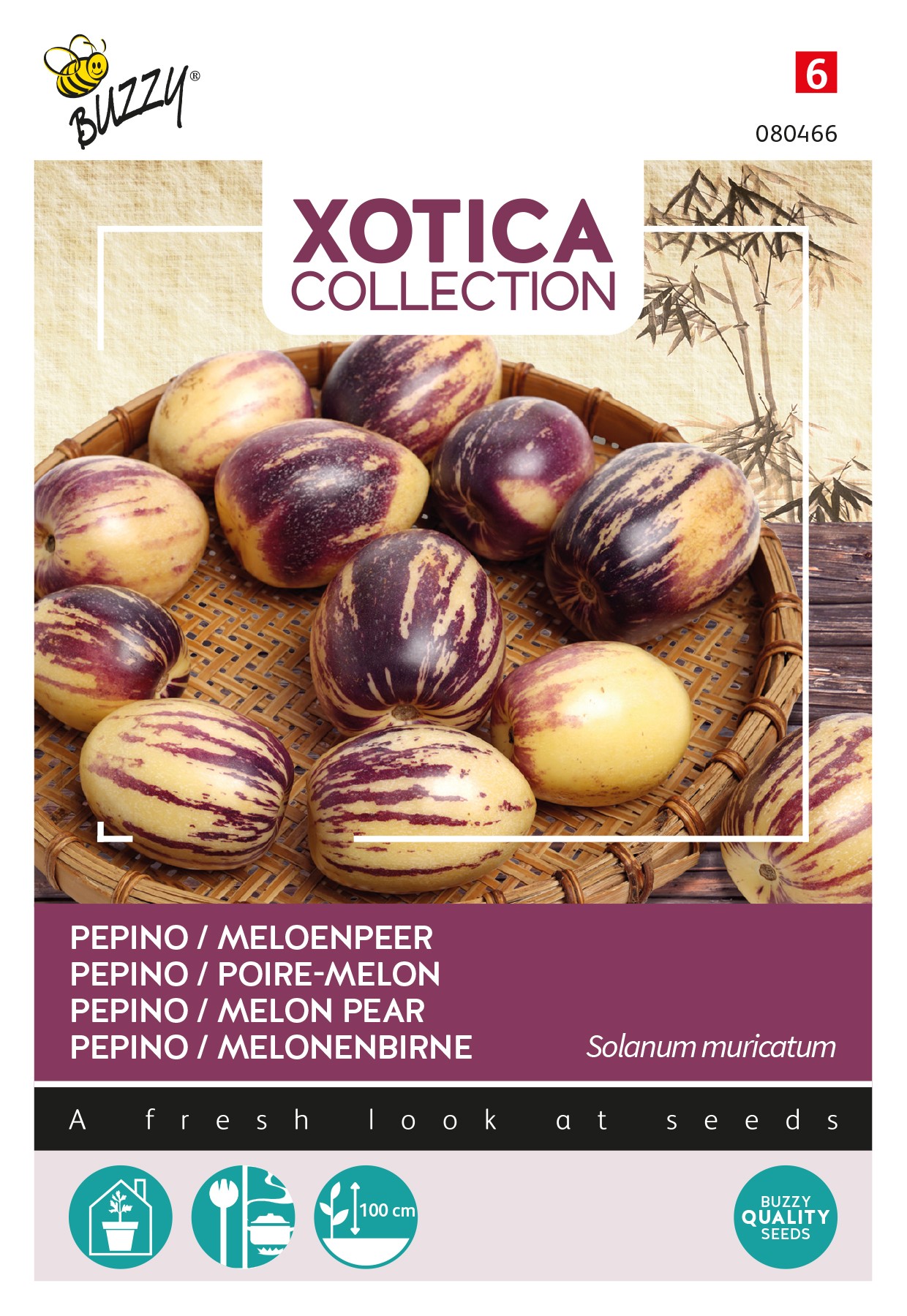 Pepino - Melonenbirne