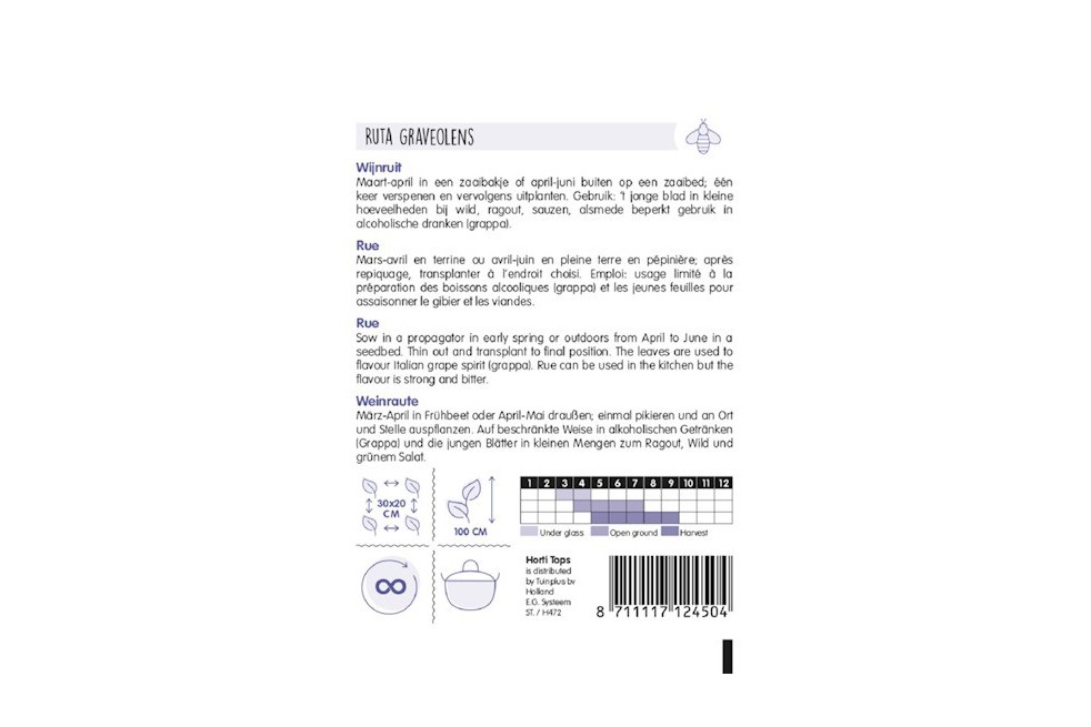 Rue officinale Rue officinale