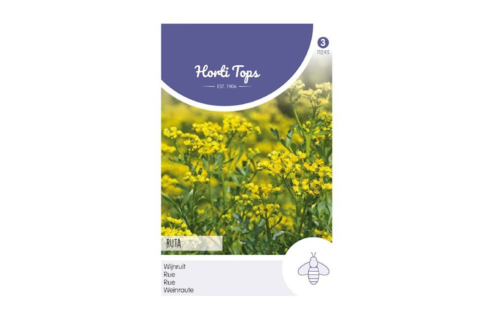 Rue officinale Rue officinale