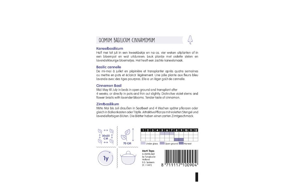 Cinnamon Basil Cinnamon Basil