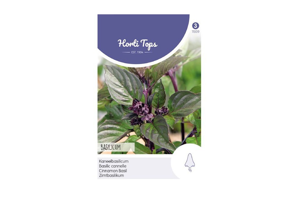 Cinnamon Basil