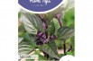 Cinnamon Basil