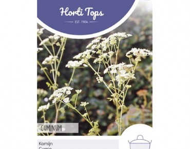 Cumin