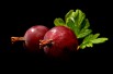 Captivator gooseberry