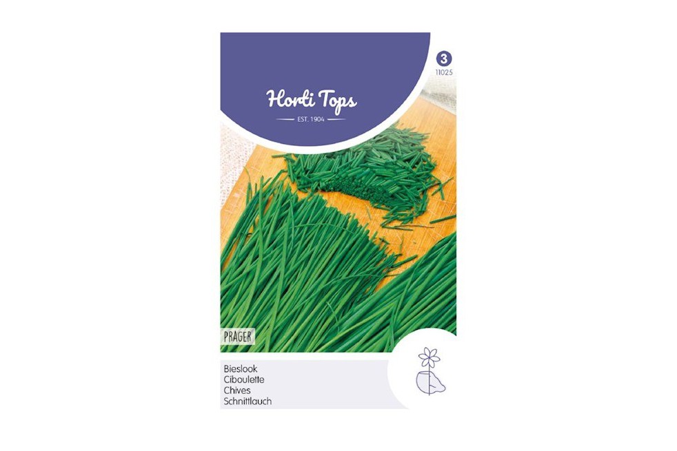 Chives