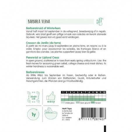 Semences Cresson vivace des jardins - Barbarea verna