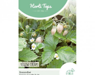 Fraisier des bois Yellow Cream