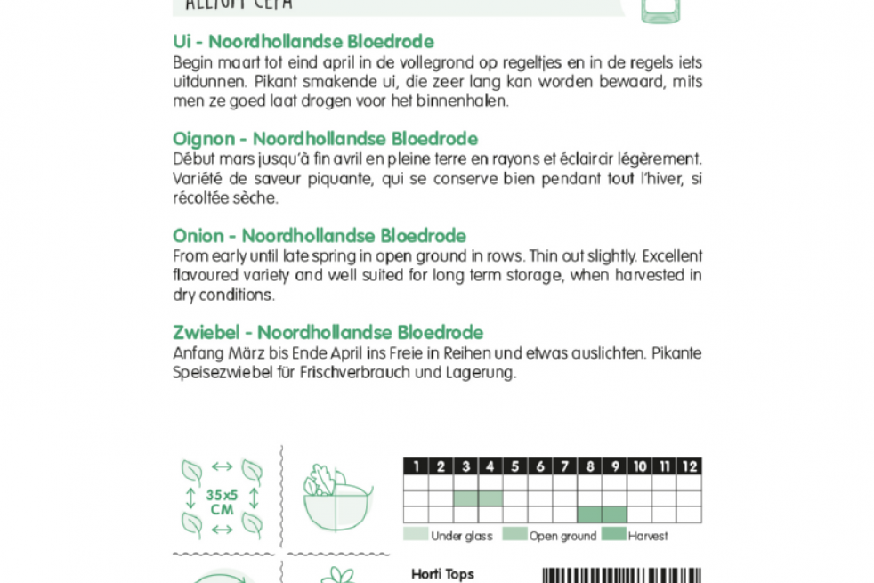 Onion Noordhollandse Blood Red