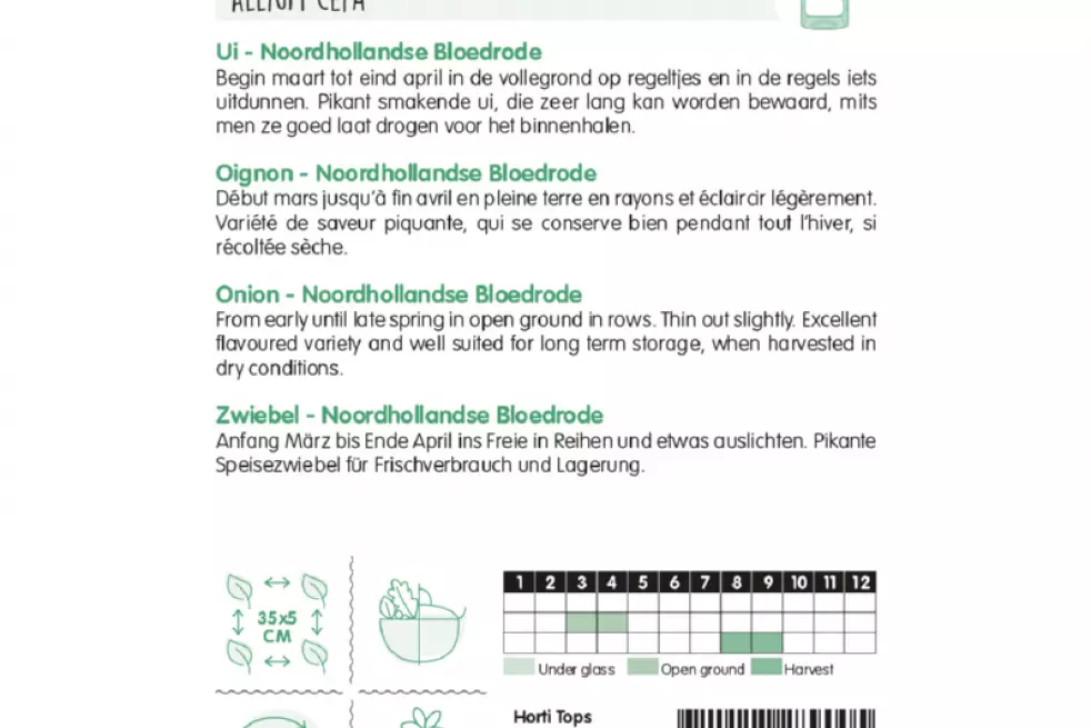 Onion Noordhollandse Blood Red