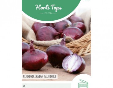 Onion Noordhollandse Blood Red