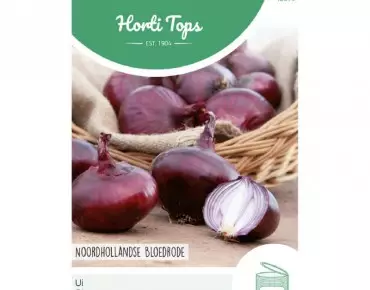 Onion Noordhollandse Blood Red