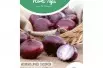 Onion Noordhollandse Blood Red