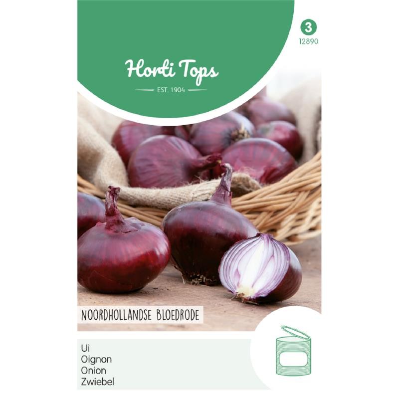 Onion Noordhollandse Blood Red