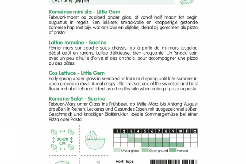 Romeinse mini sla Little Gem