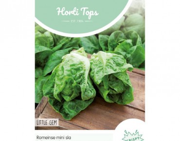 Lettuce Little Gem