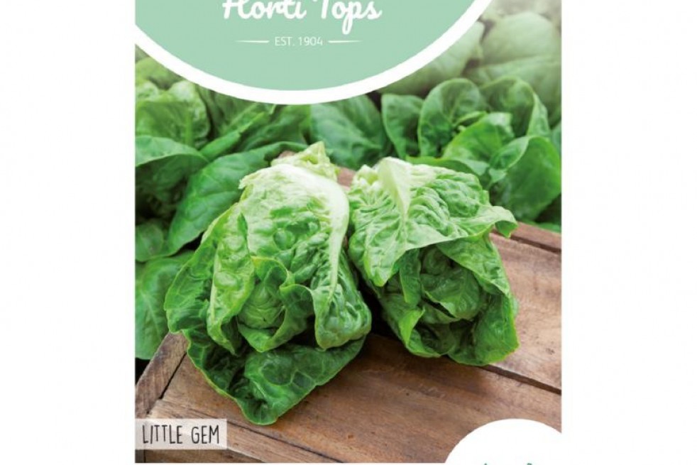 Lettuce Little Gem