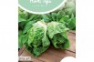 Lettuce Little Gem