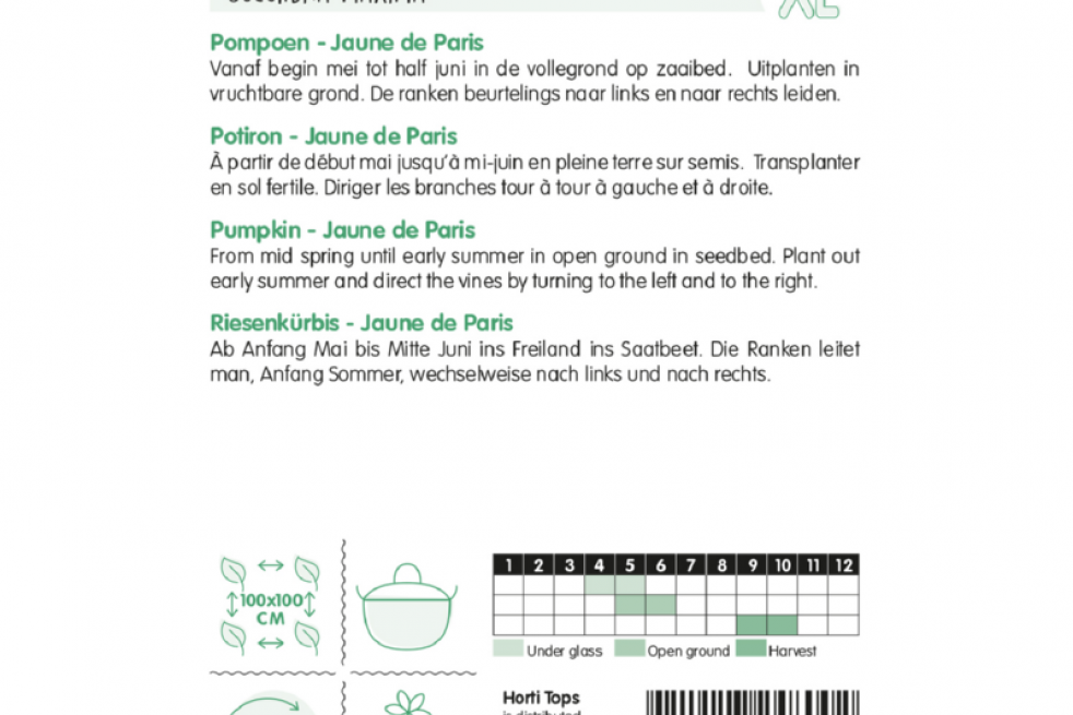 Pompoen Jaune de Paris Pompoen Jaune de Paris