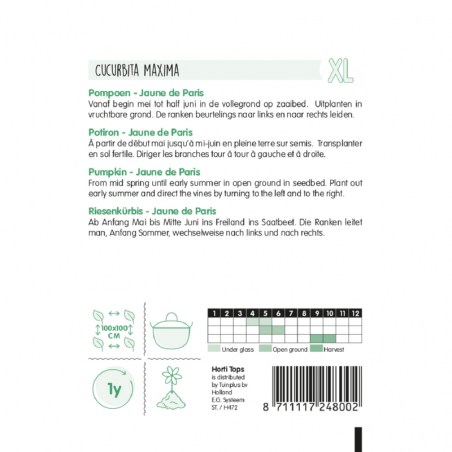 Pompoen Jaune de Paris