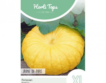 Pumpkin Jaune de Paris