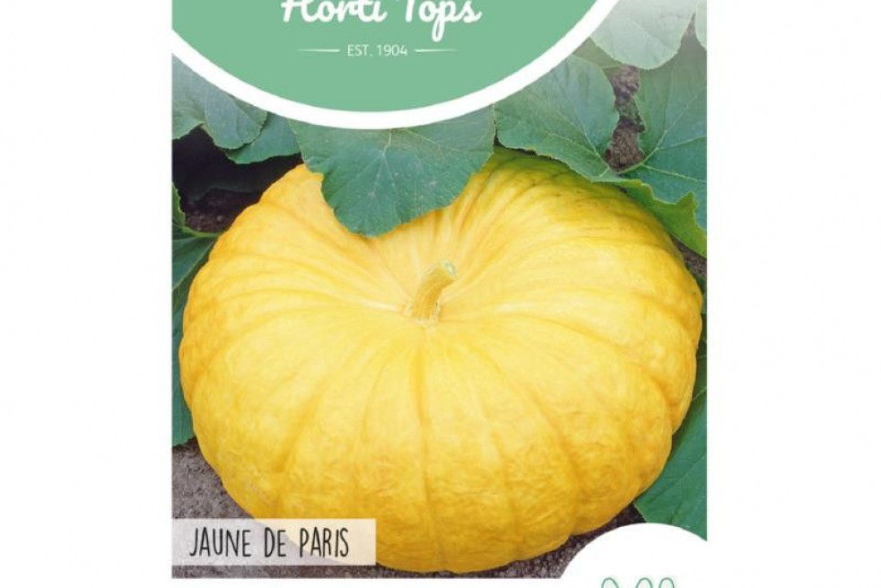 Pompoen Jaune de Paris Pompoen Jaune de Paris