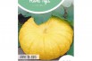 Pumpkin Jaune de Paris
