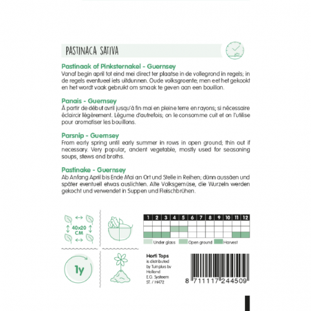 Panais demi-long de Guernesey