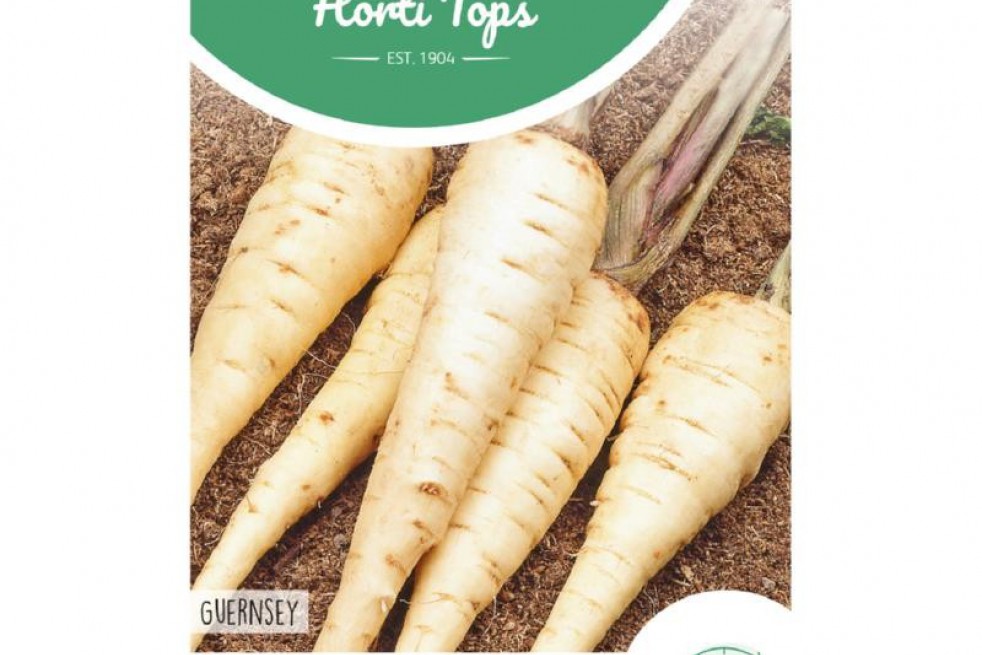 Parsnip Guernsey