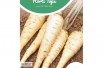 Parsnip Guernsey