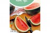 Watermelon Sugar Baby